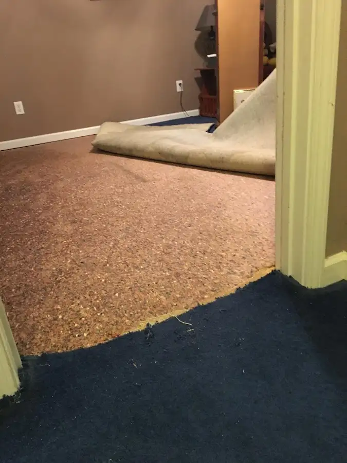 Carpet pad removal revealing water damage during Water Mitigation Services in Kill Devil Hills