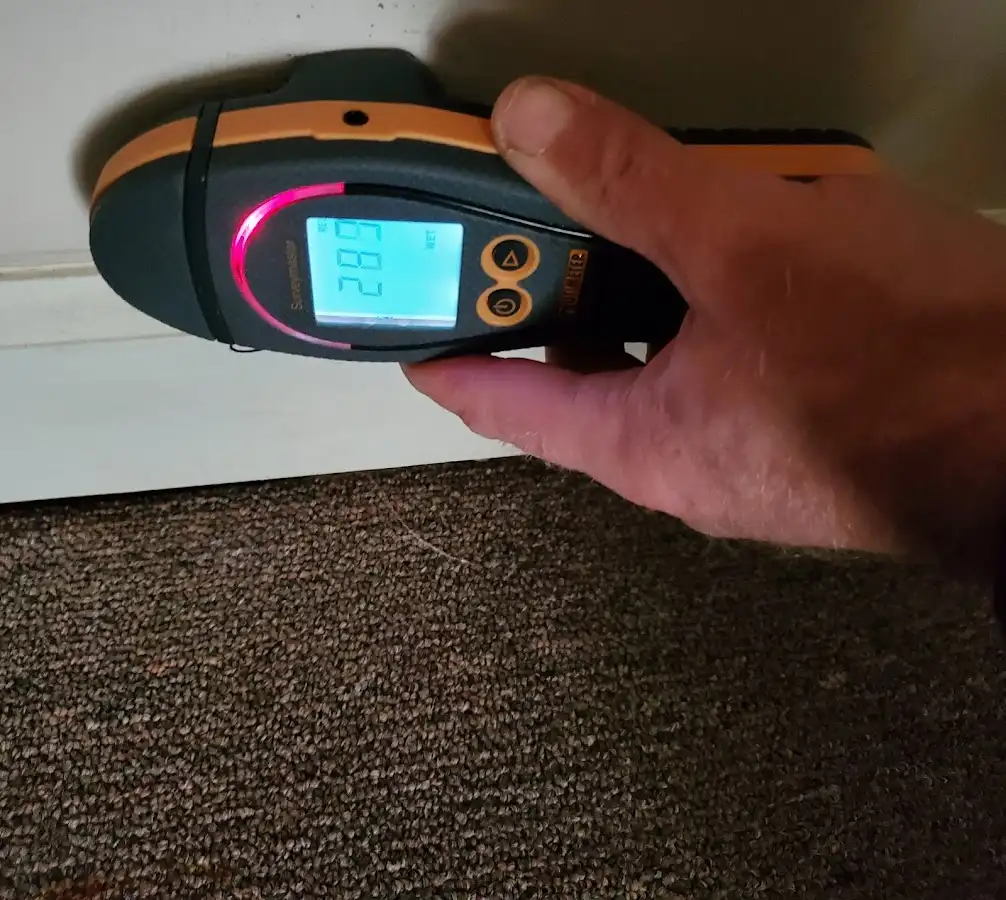 Moisture detection at baseboard during Sewage Cleanup & Sanitation in Kill Devil Hills